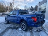 New 2025 Ford F150 STX w/ Equipment Group 200A image 3