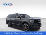 New 2025 Ford Expedition King Ranch image 2