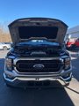 Used 2023 Ford F150 XLT image 5