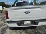 New 2025 Ford F150 XLT w/ Equipment Group 302A MID image 3