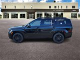 New 2026 Hyundai Santa Fe Calligraphy image 6
