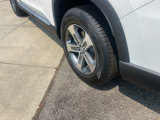 New 2025 Honda Pilot EX-L image 5