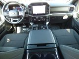 New 2025 Ford F150 XLT w/ Equipment Group 302A MID image 2
