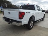 New 2025 Ford F150 XLT image 5