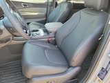 New 2025 Kia Carnival EX image 4