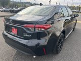 Certified 2024 Toyota Corolla XLE image 5