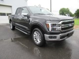 New 2025 Ford F150 Lariat w/ Equipment Group 502A High image 3