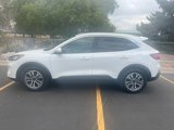 Used 2022 Ford Escape SEL image 4