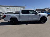 New 2025 Ford F150 XLT w/ Equipment Group 302A MID image 2
