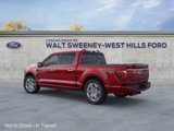 New 2025 Ford F150 Platinum image 4