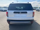 New 2026 Honda Passport RTL image 4