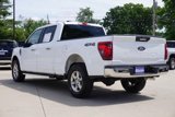 Used 2024 Ford F150 XLT image 5