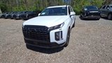 New 2025 Hyundai Palisade Calligraphy image 2