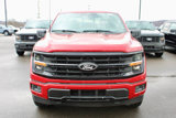 New 2025 Ford F150 XLT w/ Equipment Group 303A High image 3