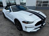 Used 2020 Ford Mustang GT Premium image 4