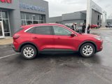 Used 2023 Ford Escape Active w/ Tech Pack #2 image 2