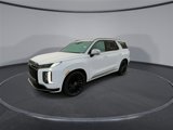 New 2025 Hyundai Palisade Calligraphy image 4