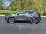 New 2025 Lexus NX 300h AWD w/ Rear Seat Package image 5