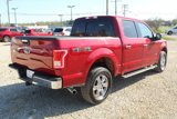 Used 2017 Ford F150 XLT w/ Equipment Group 302A Luxury image 5
