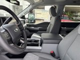 New 2025 Ford F250 XLT w/ Black Appearance Package image 4