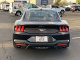 Used 2024 Ford Mustang Coupe image 5