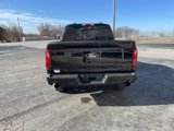 New 2025 Ford F150 XLT image 6