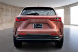 New 2026 Lexus NX 350 AWD w/ Premium Package image 4