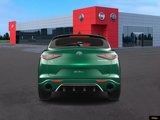 New 2025 Alfa Romeo Stelvio Tributo Italiano w/ Active Assist Plus Package image 6