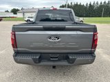 New 2025 Ford F150 STX w/ STX Black Appearance Package image 6