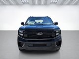 New 2025 Ford Expedition Platinum image 3