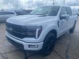 New 2025 Ford F150 Platinum image 2