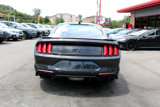 Used 2022 Ford Mustang GT Premium w/ Equipment Group 401A image 2