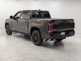 New 2025 Toyota Tundra SR5 image 5
