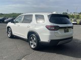 New 2025 Honda Pilot EX-L image 3
