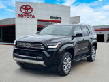 Used 2025 Toyota 4Runner Limited image 3