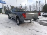 New 2025 Ford F150 XLT w/ Equipment Group 302A MID image 6