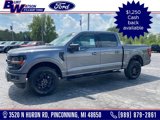 New 2025 Ford F150 XLT image 1