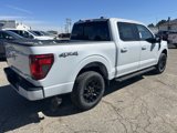 New 2025 Ford F150 XLT w/ Equipment Group 302A MID image 5