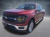 New 2025 Ford F150 XLT w/ Equipment Group 302A MID image 3