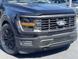 New 2025 Ford F150 XL image 5