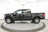 Used 2024 Ford F150 XLT w/ Equipment Group 302A MID image 4