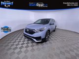 View Video