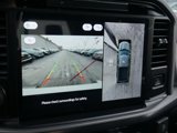 New 2025 Ford F150 Platinum w/ Equipment Group 702A High image 5