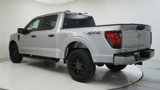 New 2025 Ford F150 STX w/ STX Black Appearance Package image 6