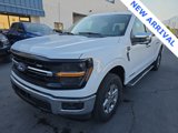 Used 2024 Ford F150 XLT w/ Equipment Group 302A MID image 4