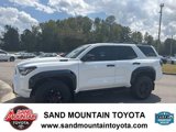Used 2025 Toyota 4Runner TRD Pro image 6