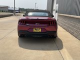 New 2025 Ford Mustang GT Premium image 5