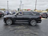 New 2025 Hyundai Palisade Calligraphy image 4