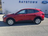 New 2025 Ford Escape Active w/ Tech Pack #1 image 4