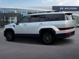 New 2025 Hyundai Santa Fe Calligraphy image 5